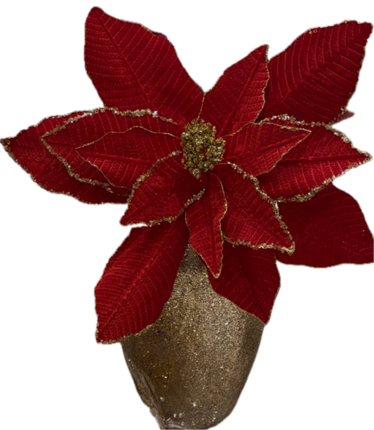 Goldline- XXL Weihnachtsstern Blume rot Gold mit Stiel 80cm x 60 cm