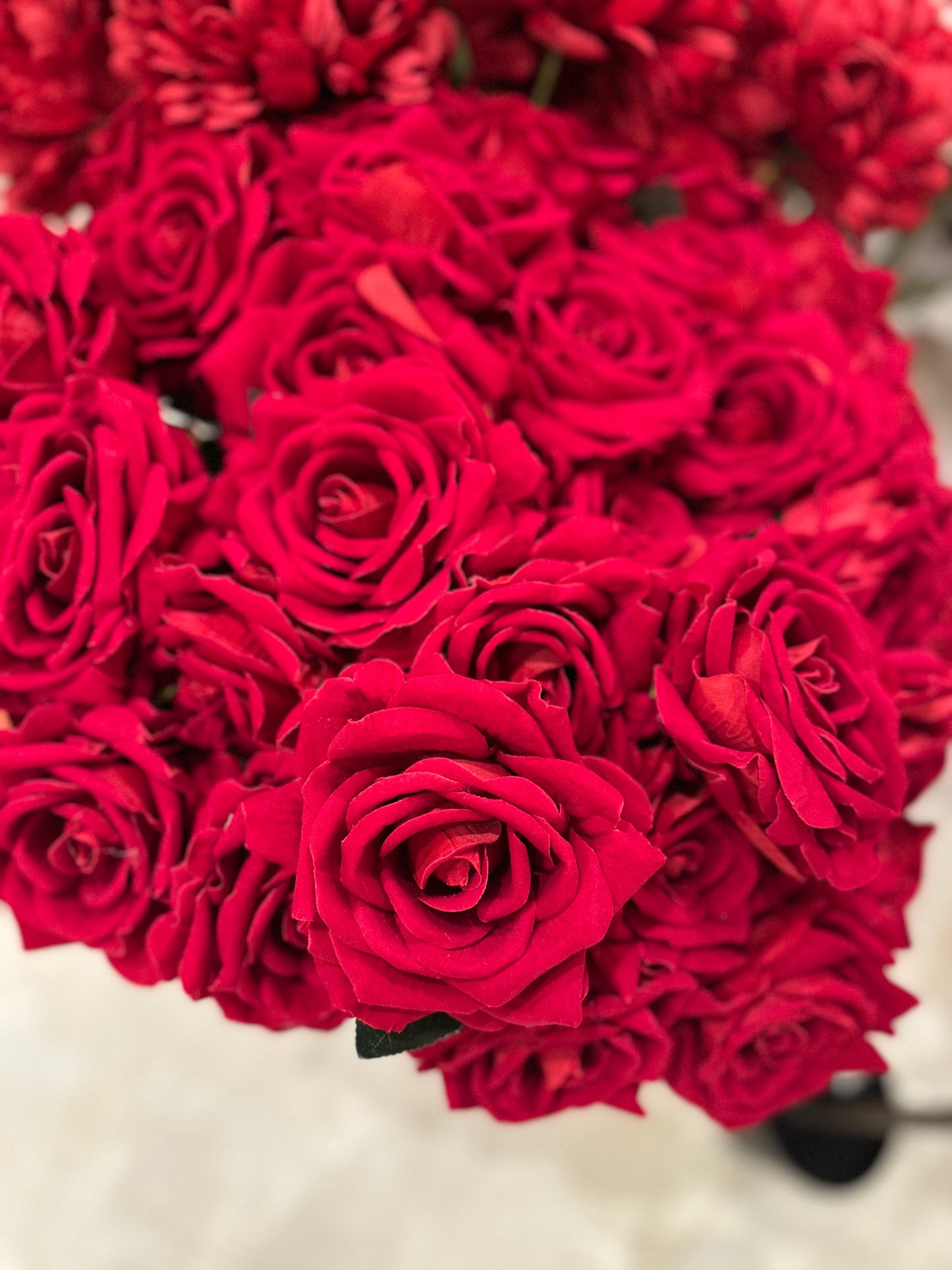 Goldline-Rote Rosen 5er Strauß