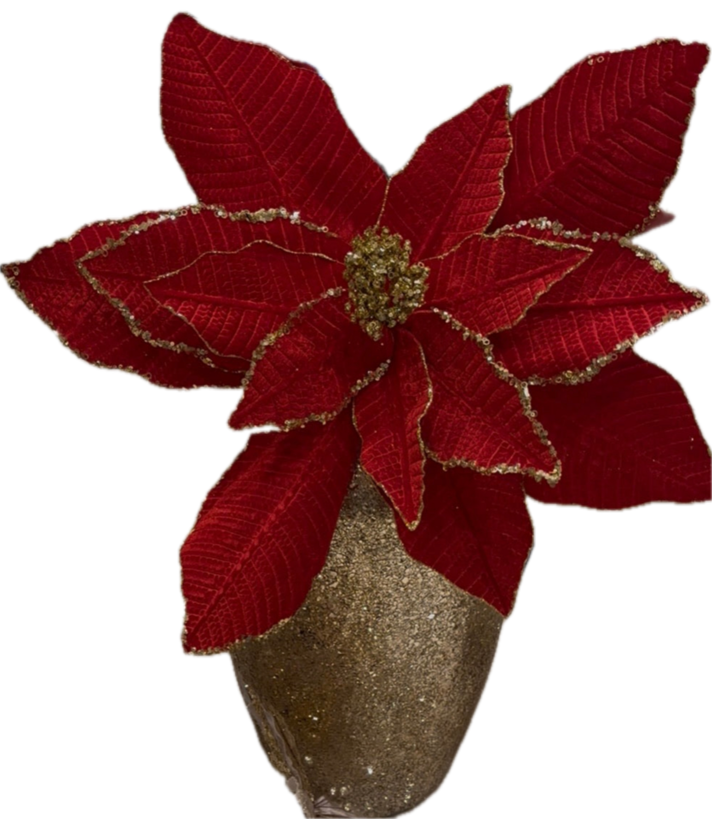 Goldline- XXL Weihnachtsstern Blume rot Gold mit Stiel 80cm x 60 cm